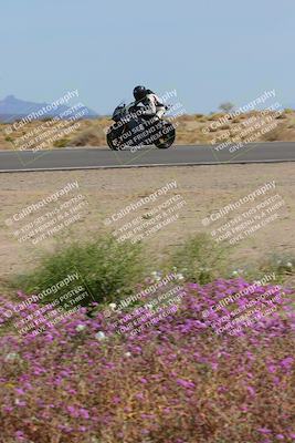 media/Mar-12-2023-SoCal Trackdays (Sun) [[d4c8249724]]/Turn 15 Inside Bloom (130pm)/